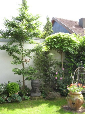 IMG_0377kleiner.jpg
