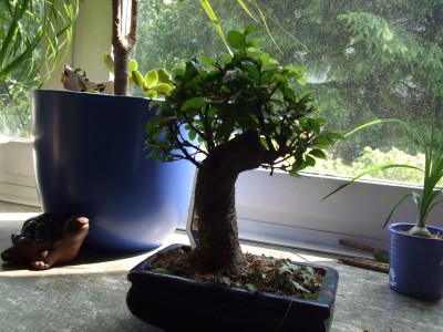 DSCF0274.JPG
