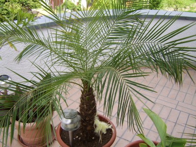 STA70336.JPG