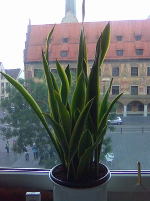 Bild036.jpg