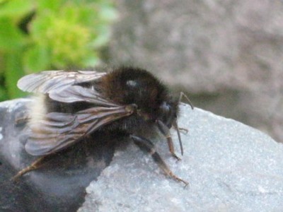 IMG_6435.JPG