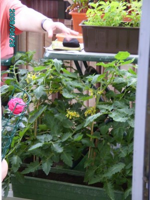 PICT0409.JPG