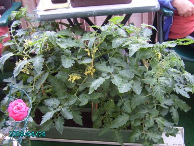 PICT0410.JPG