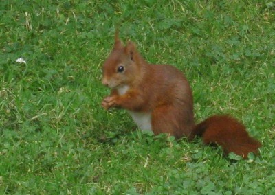 24.06.2009 018-1.jpg