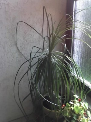 02-06-07_1750.jpg