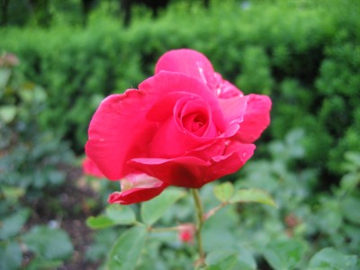 IMG_6929.JPG