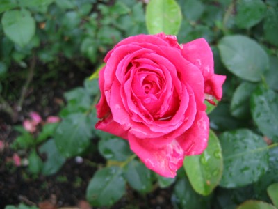 IMG_6928.JPG