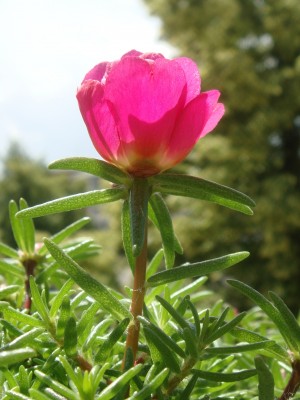 DSC00538-2.jpg