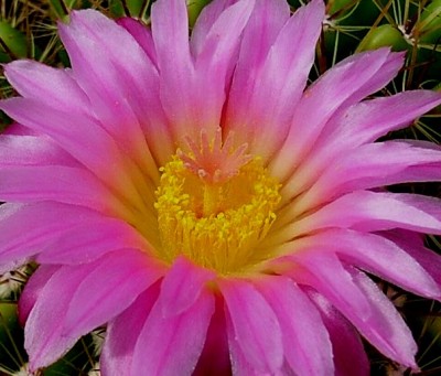 Kopie von RIMG0092.JPG