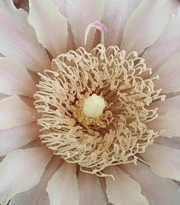 Kopie von RIMG0061.JPG