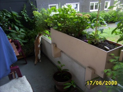balkon 002.jpg