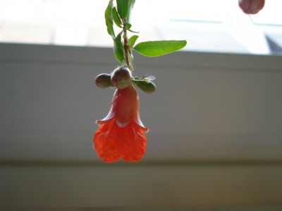 DSC01081.jpg
