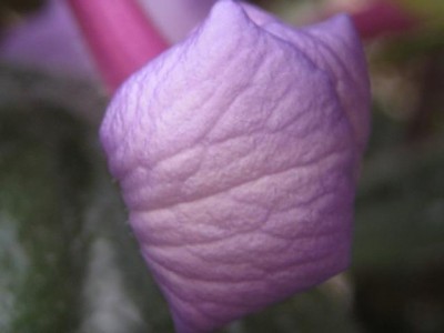 IMG_sechs.JPG