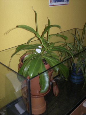 PICT0040.JPG