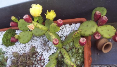 2009-06-20 - Balkon 002.jpg