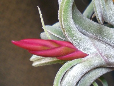 RSCN47840001.JPG