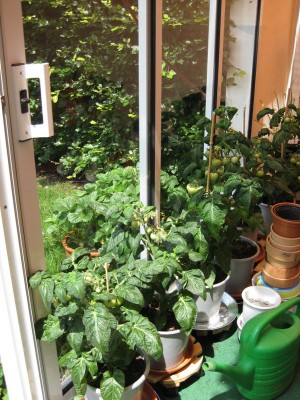 Bild 006_600x800.jpg