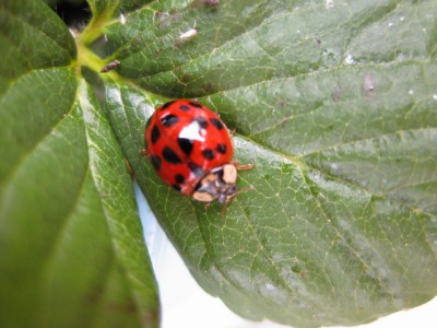 Bild 030_1067x800.jpg