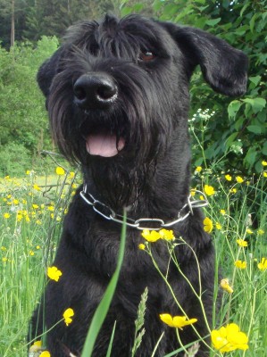 DSC05147 - Kopie.JPG