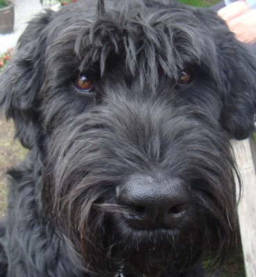 DSC03843 - Kopie.JPG