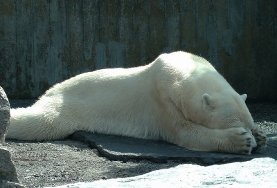 10.06.09 wilhelma-1.jpg