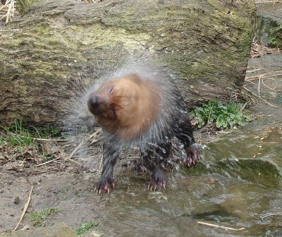 19.03.2009 wilhelma 444-1.jpg