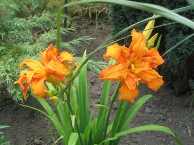 IMG_6766.JPG