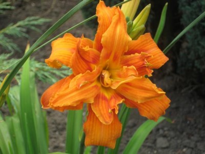 IMG_6767.JPG