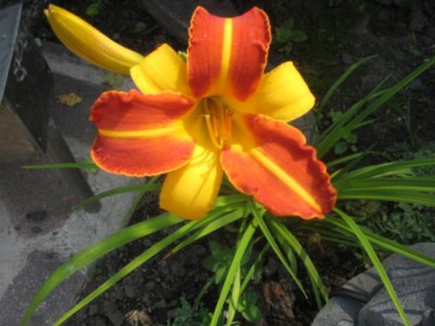 IMG_6845.JPG