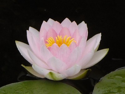 IMGP0314_Bildgröße ändern.JPG