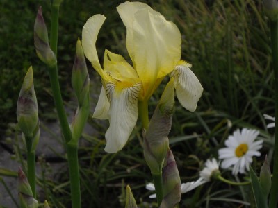 IMGP0182_Bildgröße ändern.JPG