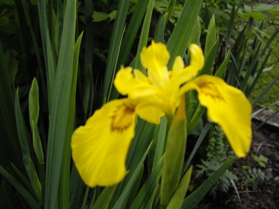 IMGP0165_Bildgröße ändern.JPG