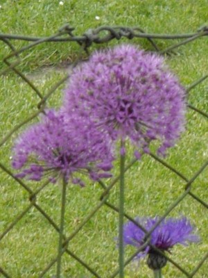 IMGP0154_Bildgröße ändern.JPG