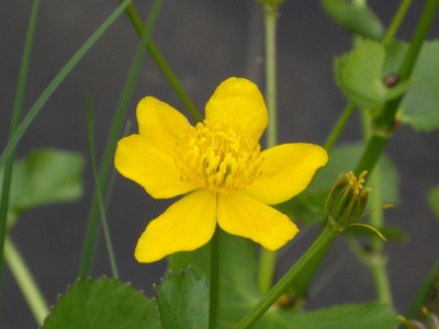 IMGP0150_Bildgröße ändern.JPG