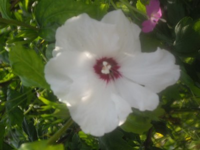 IMGP0465_Bildgröße ändern.JPG