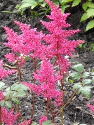 IMGP0325_Bildgröße ändern.jpg