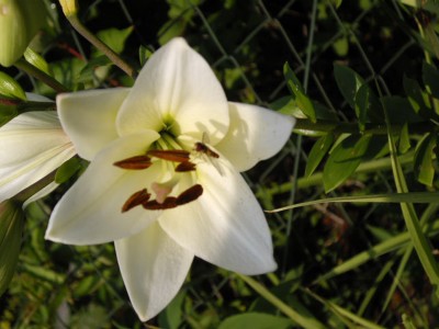 IMGP0446_Bildgröße ändern.JPG