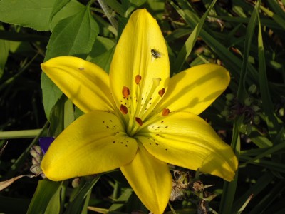 IMGP0444_Bildgröße ändern.JPG