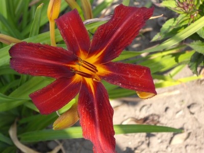 IMGP0451_Bildgröße ändern.JPG