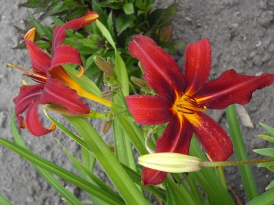 IMGP0406_Bildgröße ändern.JPG