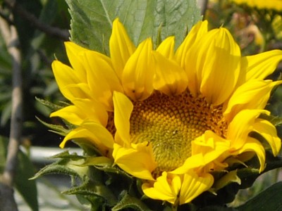 IMGP0447_Bildgröße ändern.JPG