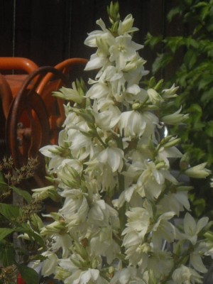 IMGP0471_Bildgröße ändern.jpg