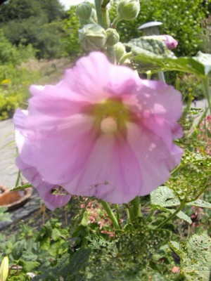 IMGP0470_Bildgröße ändern.jpg