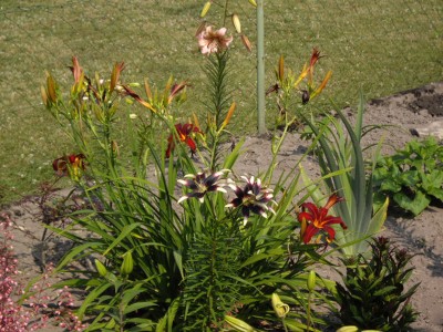 IMGP0448_Bildgröße ändern.JPG