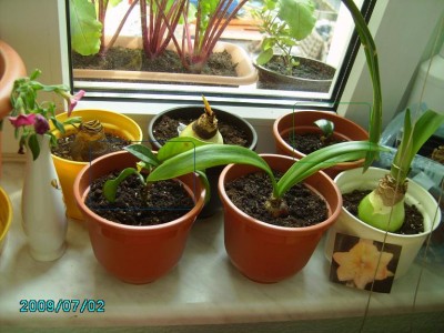 PICT0429.JPG