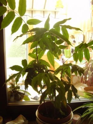 P5250005.JPG