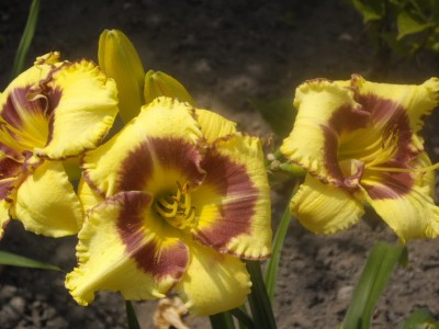 IMGP0478_Bildgröße ändern.JPG
