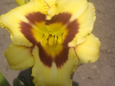 IMGP0475_Bildgröße ändern.JPG