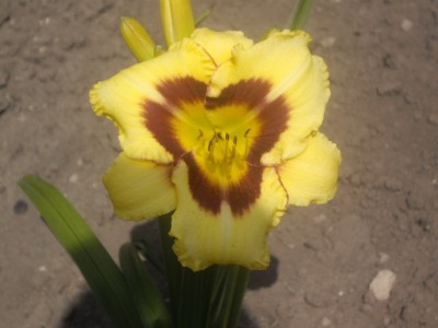 IMGP0474_Bildgröße ändern.JPG