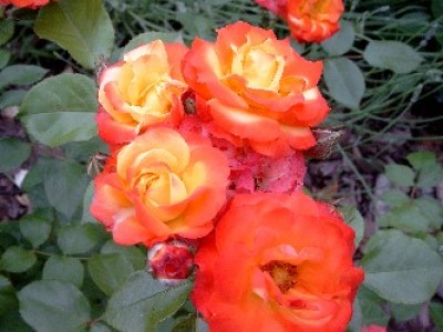 Bild3184.jpg